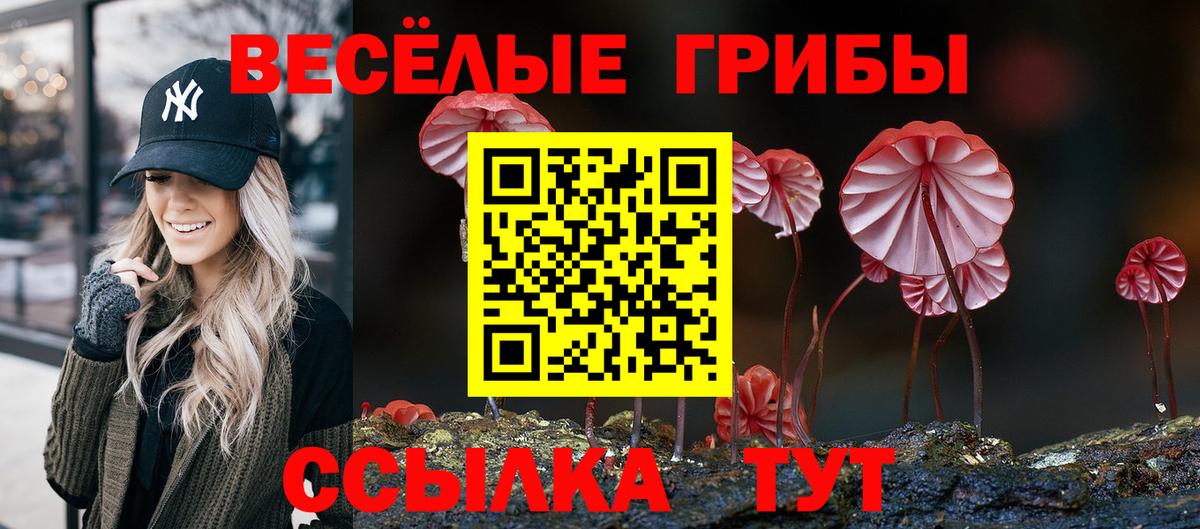 Псилоцибиновые грибы Magic Shrooms  закладки  Борзя  Галлюциногенные грибы Magic Shrooms  Вход с VPN 